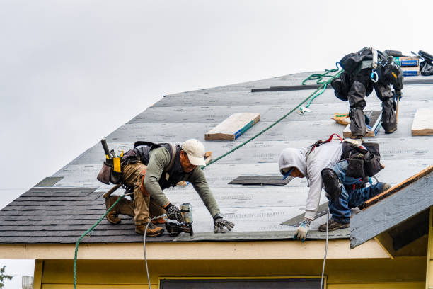 Professional Roofing technician working in Medina, WA